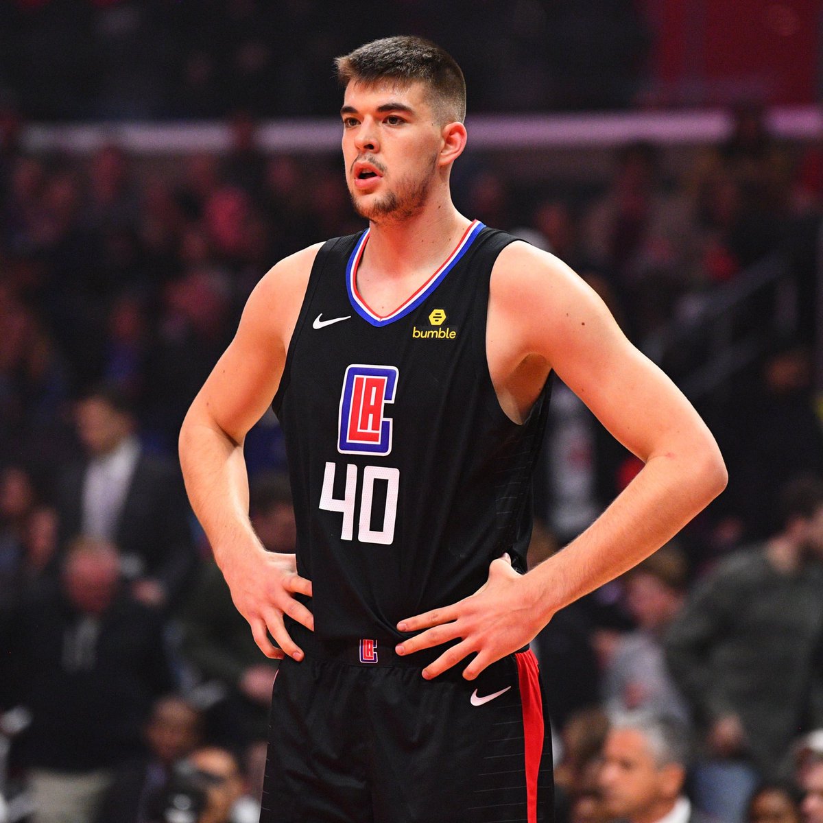Clippers Lead tweet media