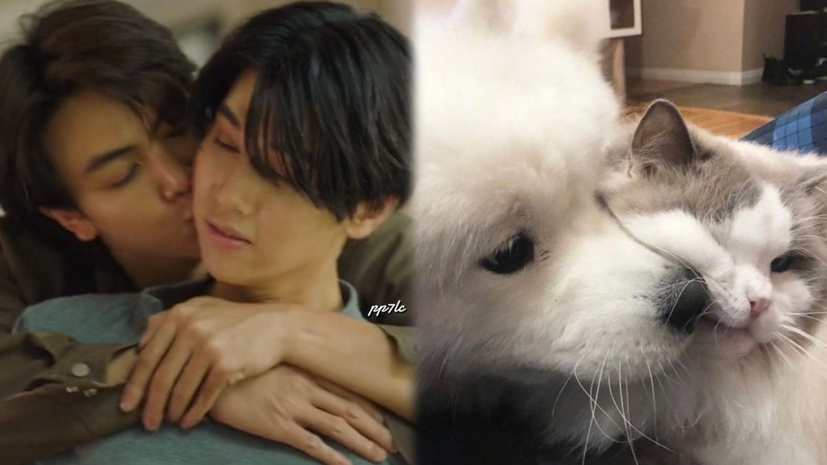 A sweet little puppy loves giving cheek kisses to his kitty ><

#DareYouToDeathEP7