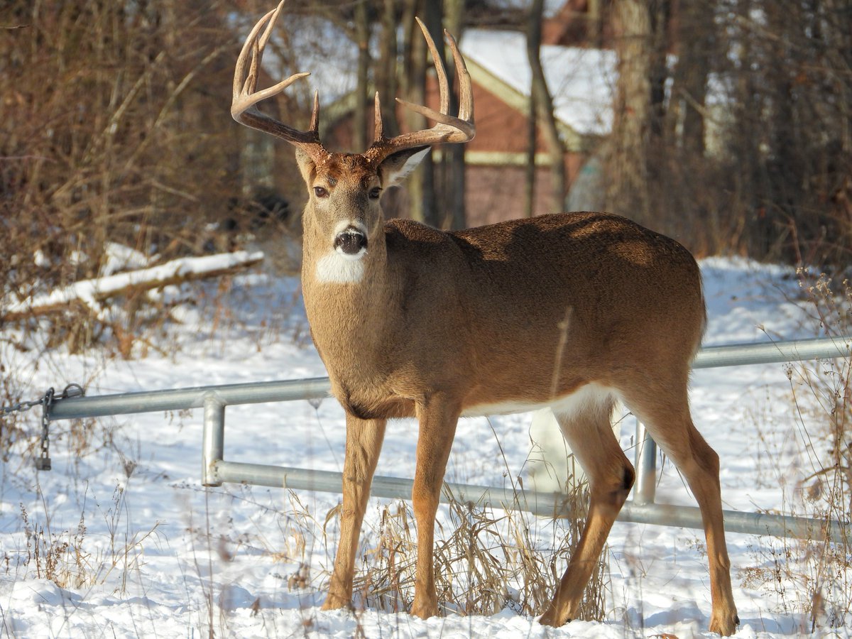 JP McHale Pest Management LLC tweet media