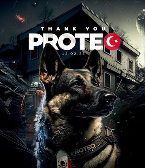 Seni de unutmayacağız güzel çocuk, huzurla uyu. 
#6subat2023