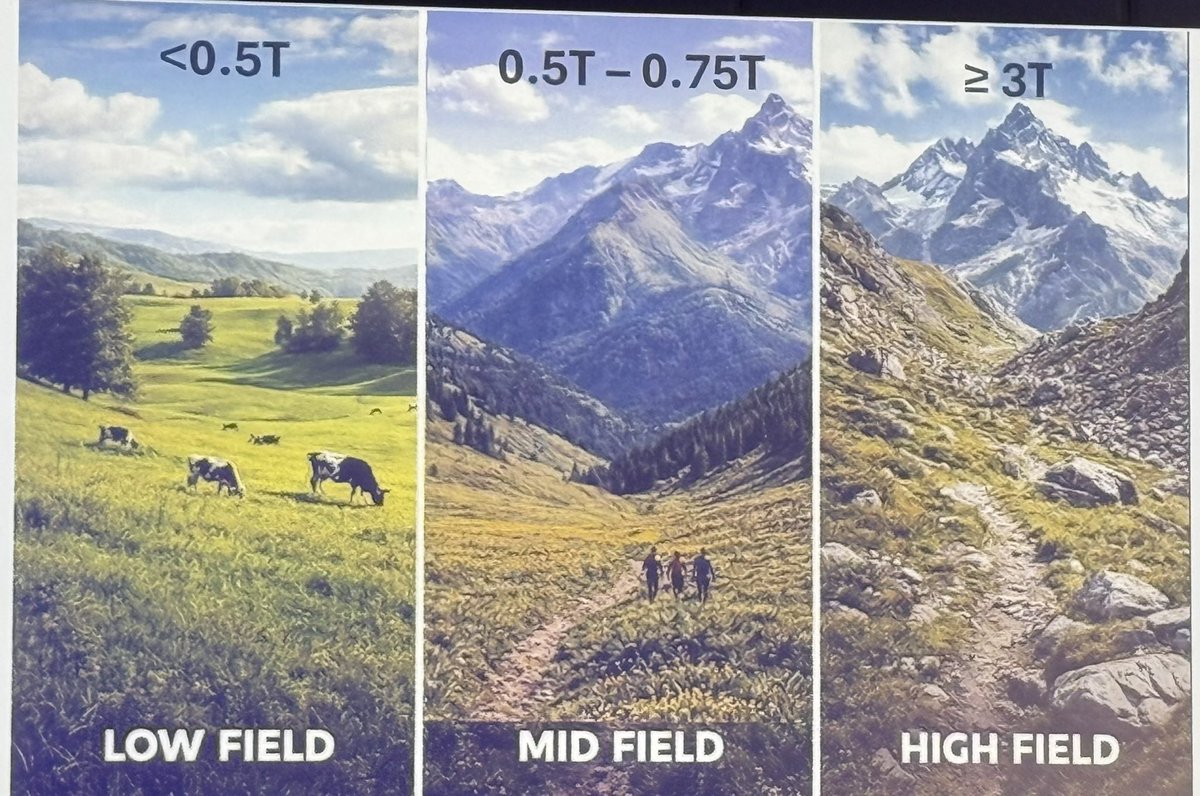 Yousef Daryani tweet media