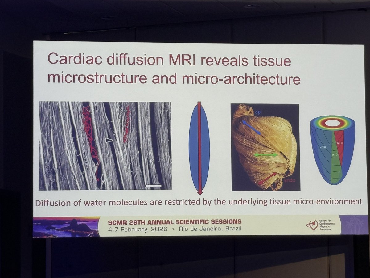 Yousef Daryani tweet media