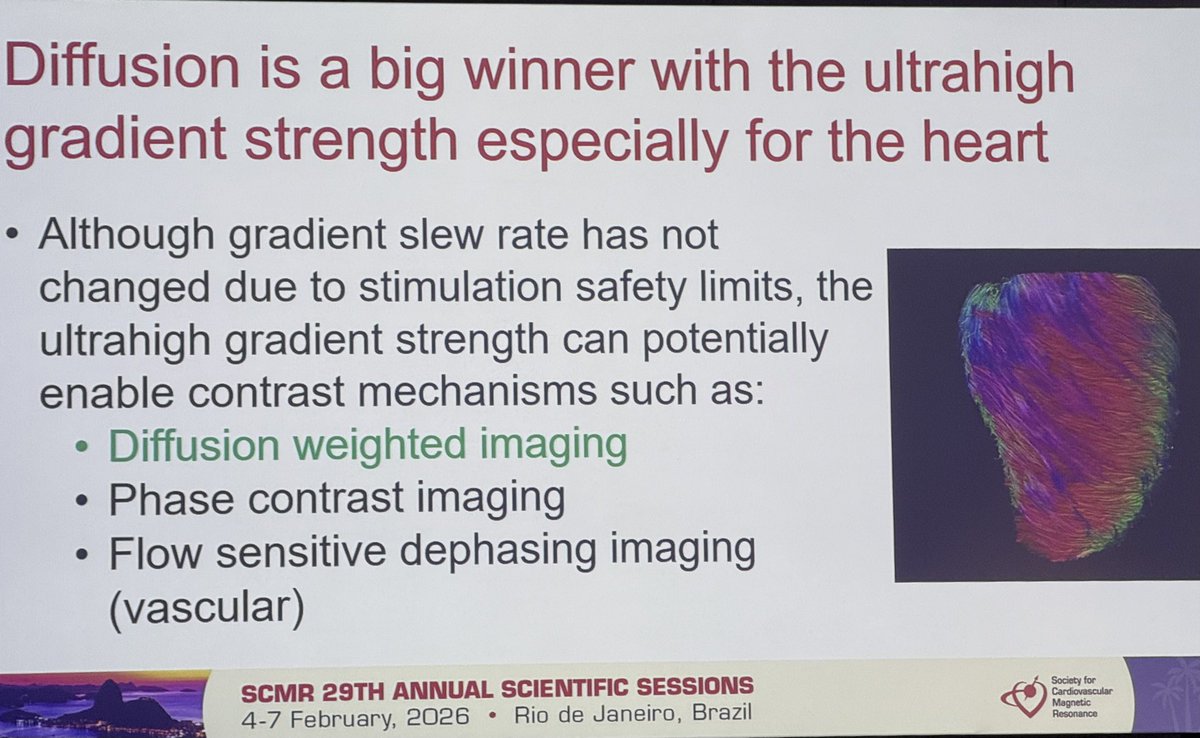 Yousef Daryani tweet media