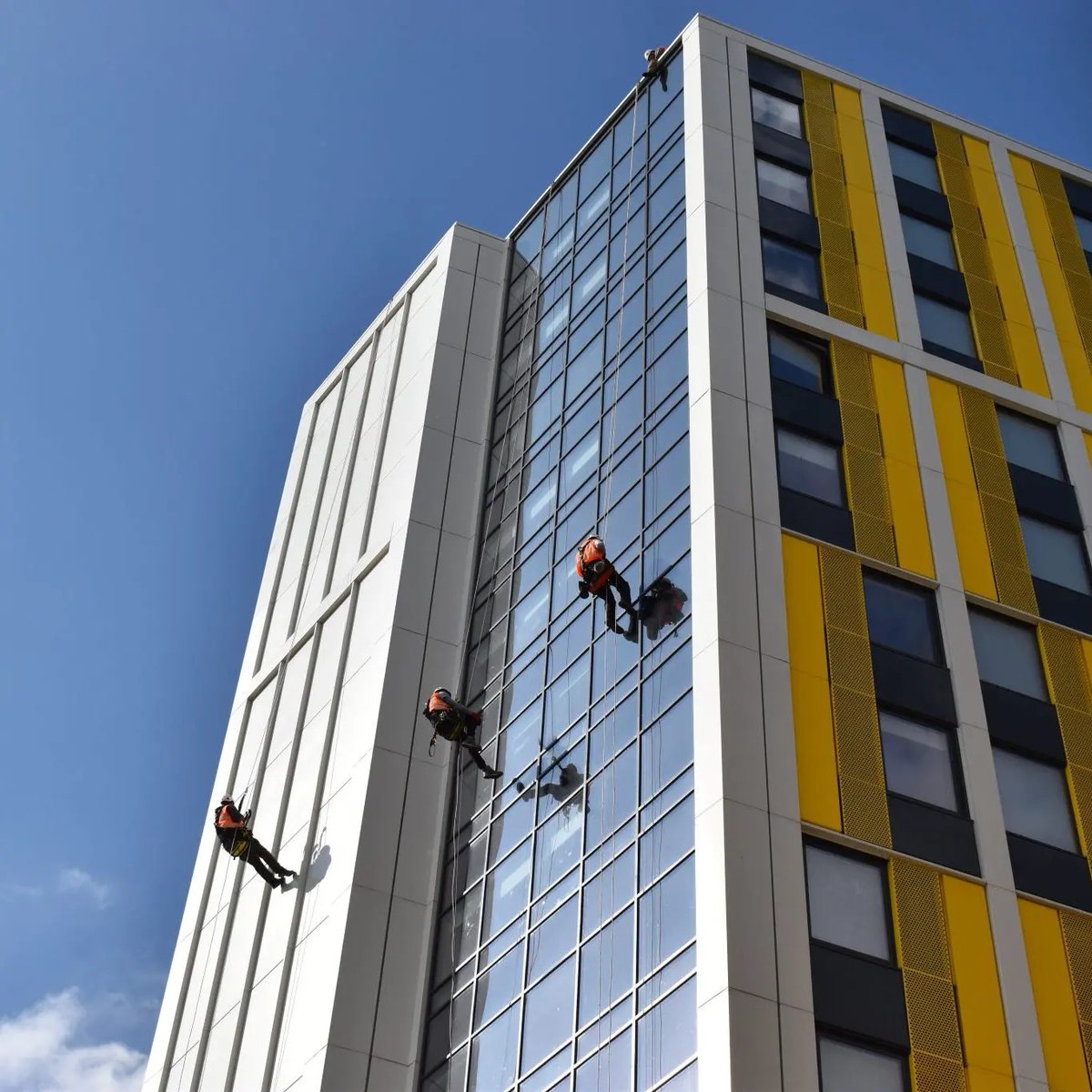 Novum Structures LLC tweet media