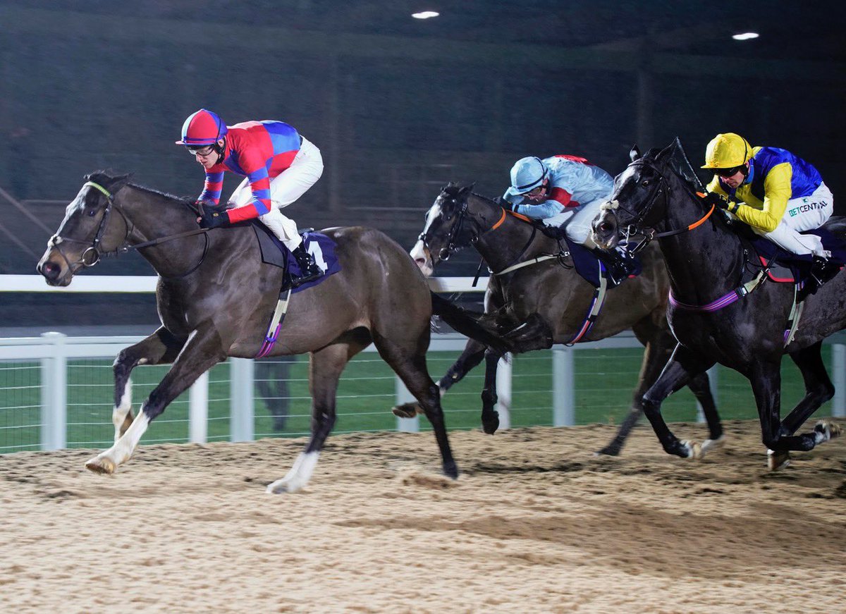 NatStudStallion's tweet photo. A 3️⃣0️⃣-year record broken by a son of 𝐑𝐚𝐣𝐚𝐬𝐢𝐧𝐠𝐡𝐞!

Aisling Oscar records his eighth consecutive handicap success, becoming the first horse in 30 years to achieve the feat. Many congratulations to all connections 👏🏼

#NationalStud #Rajasinghe #Winner #NSStallions https://t.co/WB28x1AzHP