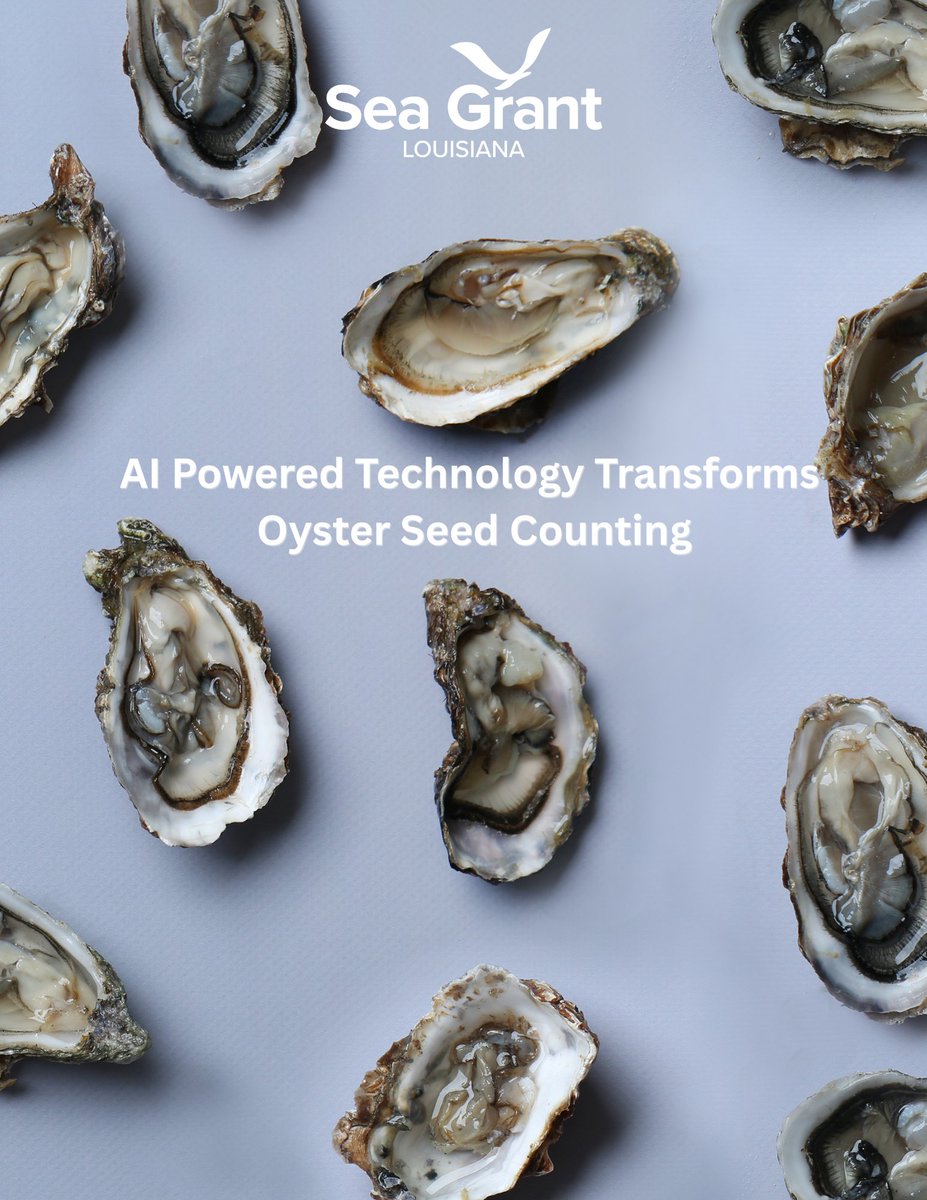 Louisiana Sea Grant tweet media