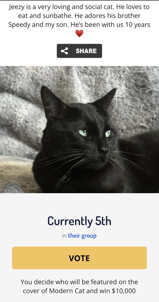 creepette's tweet photo. Hi world! Jeezy is currently still in 5th place 🐈‍⬛ He desperately needs your votes so he can avoid elimination tonight at 10p EST. Thanks! 🥰 Will you help Jeezy win? #americasfavoritepet https://t.co/B7B97yAG7o https://t.co/mT2M5FHuzM