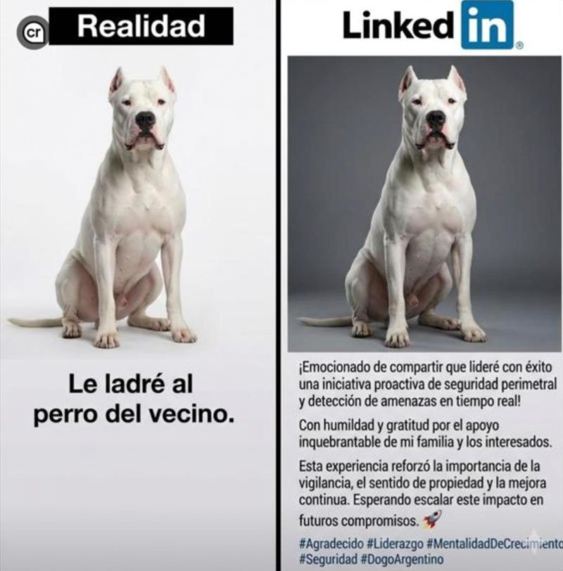 Vicente Frías tweet media