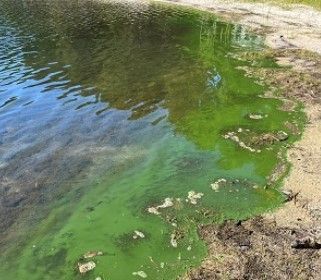CapeCodcom's tweet image. Barnstable to consider mandating best available #sewer systems near sensitive waterbodies capecod.com/newscenter/bar…