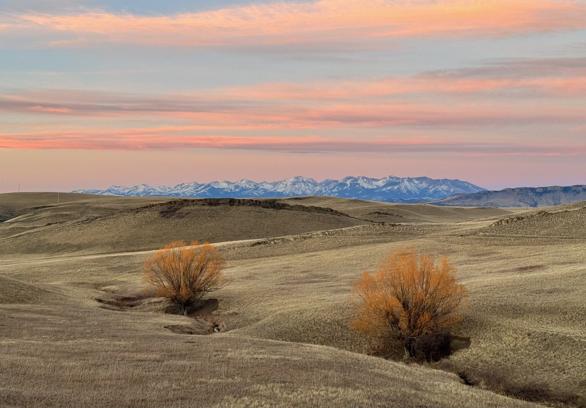 Tonight’s sunset over the Crazy Mountains of Montana. It was 56 degrees out when I took this picture.