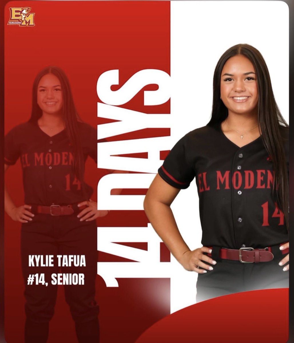 Coach Steve Tafua tweet media