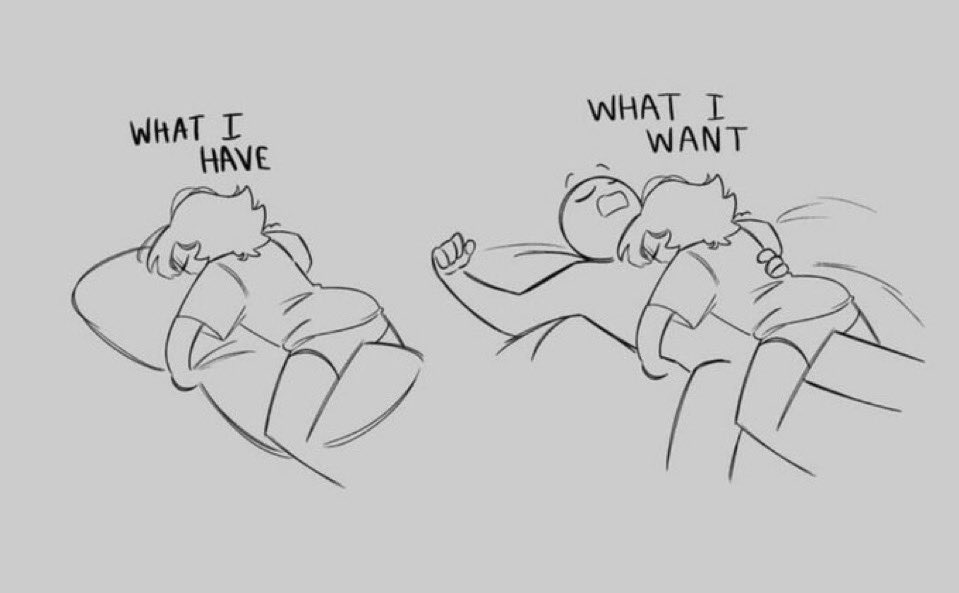 circirbocegisi's tweet image. 