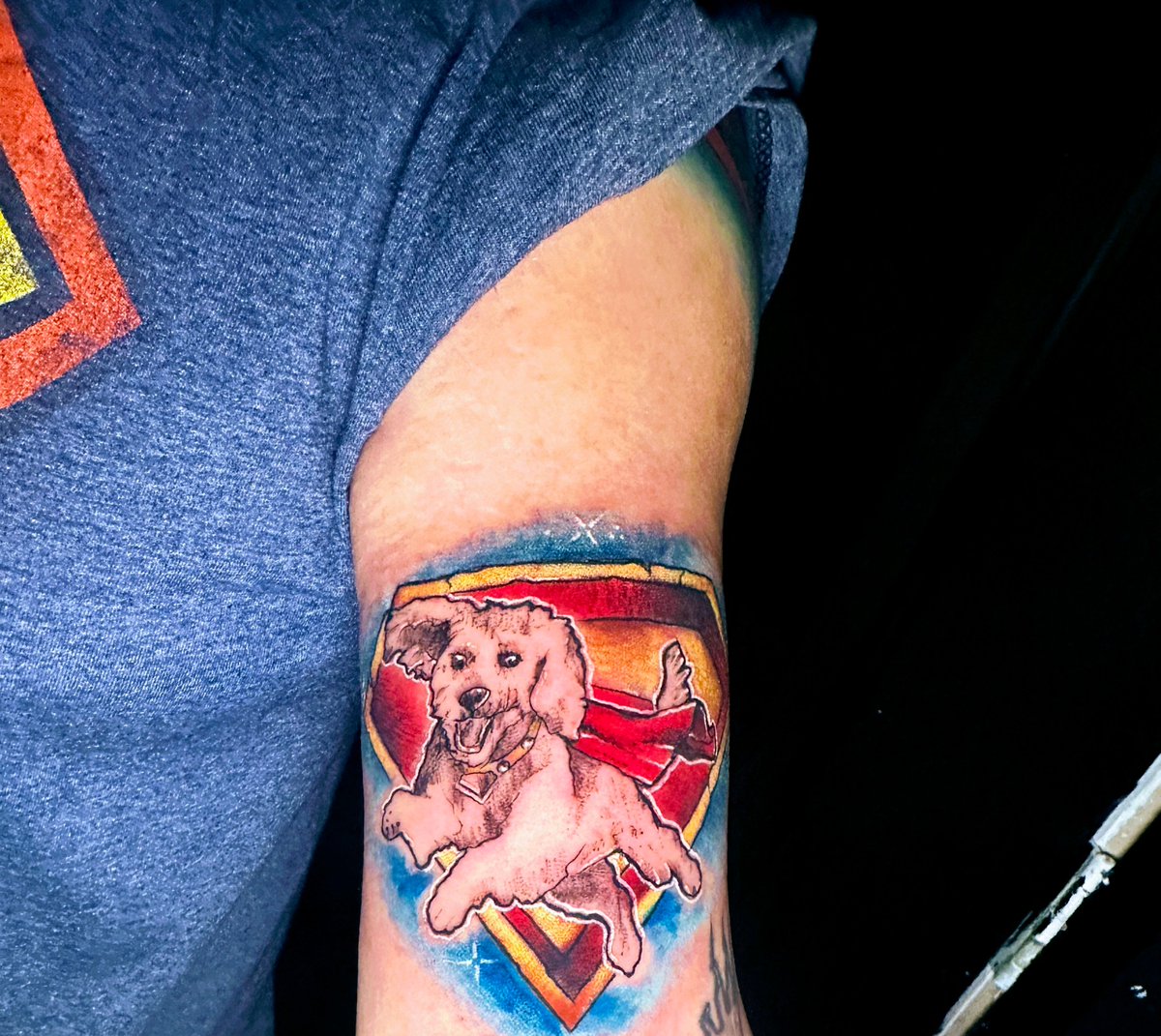 realchrishansen's tweet photo. @JamesGunn Let's see who the biggest Superman fan is- I'm Waiting! 😂 #WildChildTattoos https://t.co/S7zawHYifY