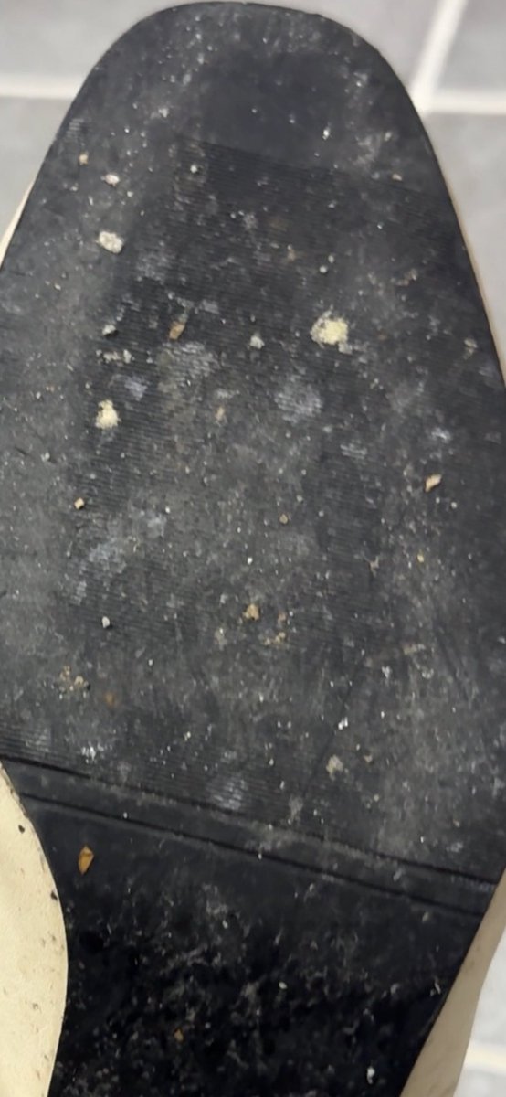 싹싹 핥아 ㅋㅋㅋㅋ #상납