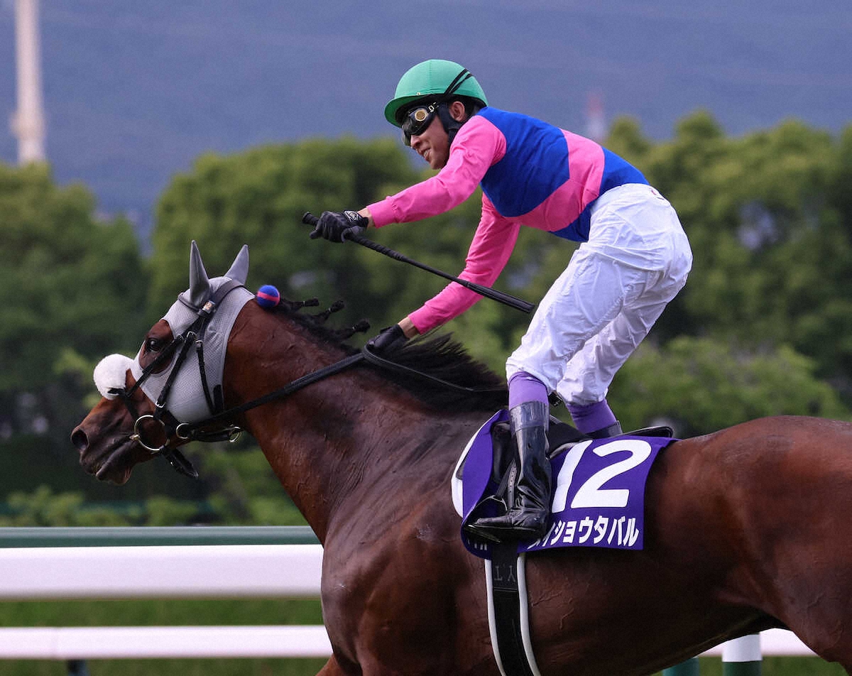 メイショウタバル