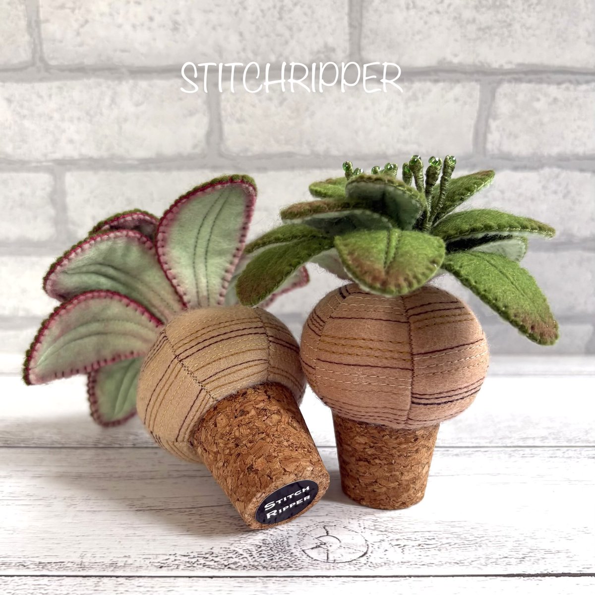 🌵オニワライ、コルク台座バージョンです
お迎えいただきましたらお好みの鉢に植えてください
デザートプランツ《 @DesertPlants363 》
▫️世田谷区宮坂3-6-3-1F
▫️小田急線&amp;千代田線 経堂駅3分
▫️12:00~19:00
▫️店休日:(水)(木)+不定休（祝日営業）
#鬼笑い  #euphorbiaecklonii