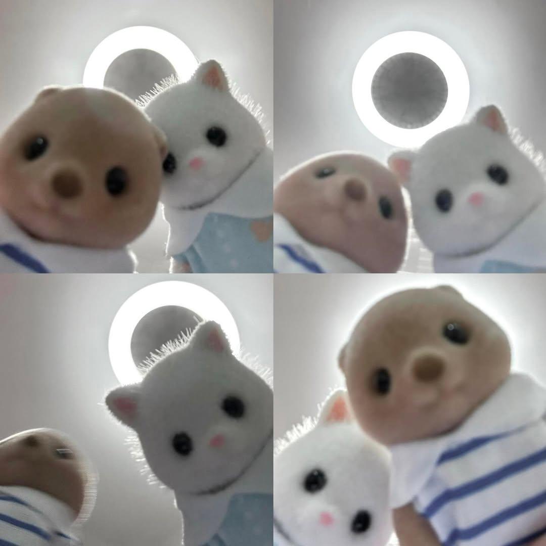 실바니안으로 기가맥히게 커여운 사진 찍는법 ദ്ദി・ᴗ・)✧ 

실바니안 두 마리 끝에두고
광각 모드로 바꾸고 인형만 올리면 됨