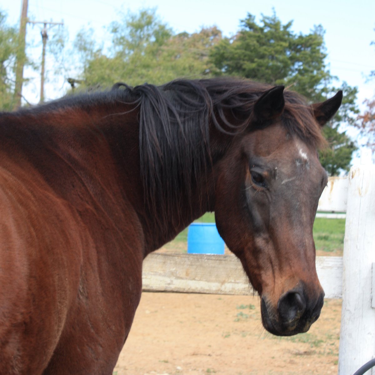 Remember Me tweet media