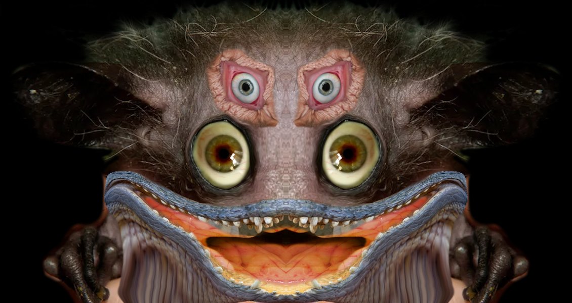 ive found a new hobby called putting random shit toghether in paint dot net