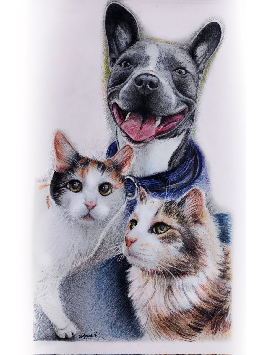 Korosu__G's tweet photo. Terminado ✍✔
Dibujo bajo pedido
😻🐶🦮🐈🐕🦺
Bolígrafo y colores 🖊️
#DogDrawing #Draw #Drawing #Art #CatDrawing https://t.co/MIQ9EQai2c