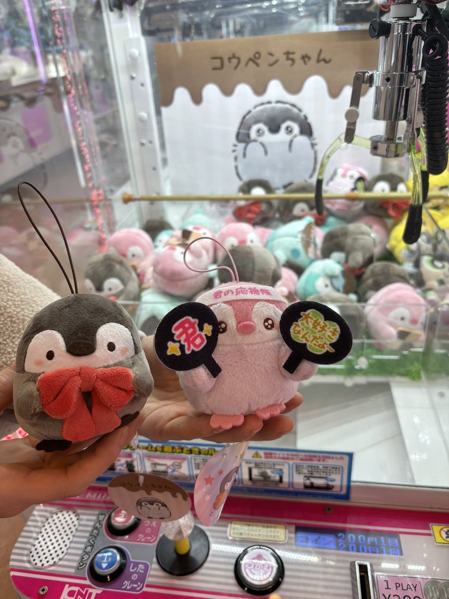 私が以前欲しいと言ってたリボンを持ったコウペンちゃん🎀
クレーンゲーム苦手だから入手できないって嘆いてたら遠くに住んでる後輩が手に入れてくれてた😂✨

一緒にご飯行ってから近くのゲーセンに一緒に行ったらまだあって3回のトライで応援隊の子もGETしてくれて😭
天才でした🍀✨✨