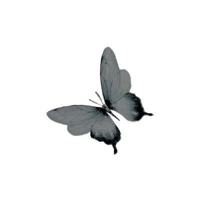 ‍‍ ‍‍ ‍‍ ‍‍ ‍‍*𝒄𝗮𝘁𝗿𝗶𝗼𝗻𝗮 𝒗 tweet media