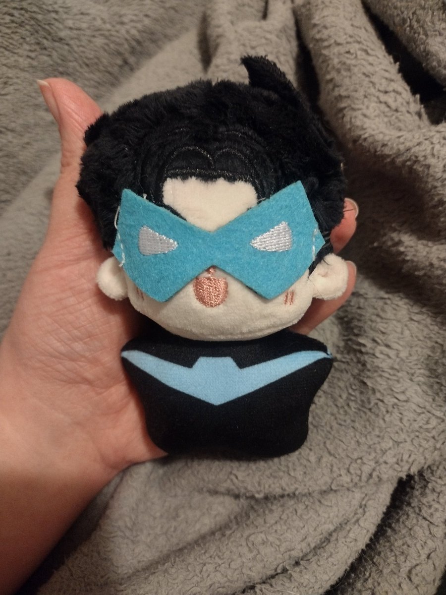 It took forever to arrive, but I got the teeniest, tiniest Nightwing for my birthday! 💜✨