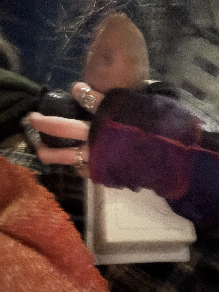 mother pigeon tweet media