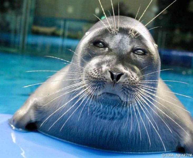 oh uhm. He caught us.