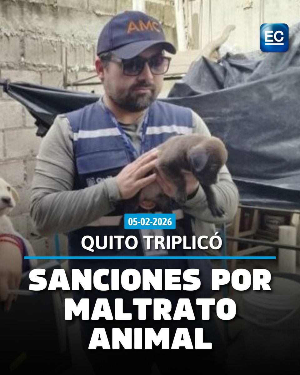 👉f.mtr.cool/yvtrfusyee🐶Estas fueron las infracciones más graves por maltrato animal en Quito