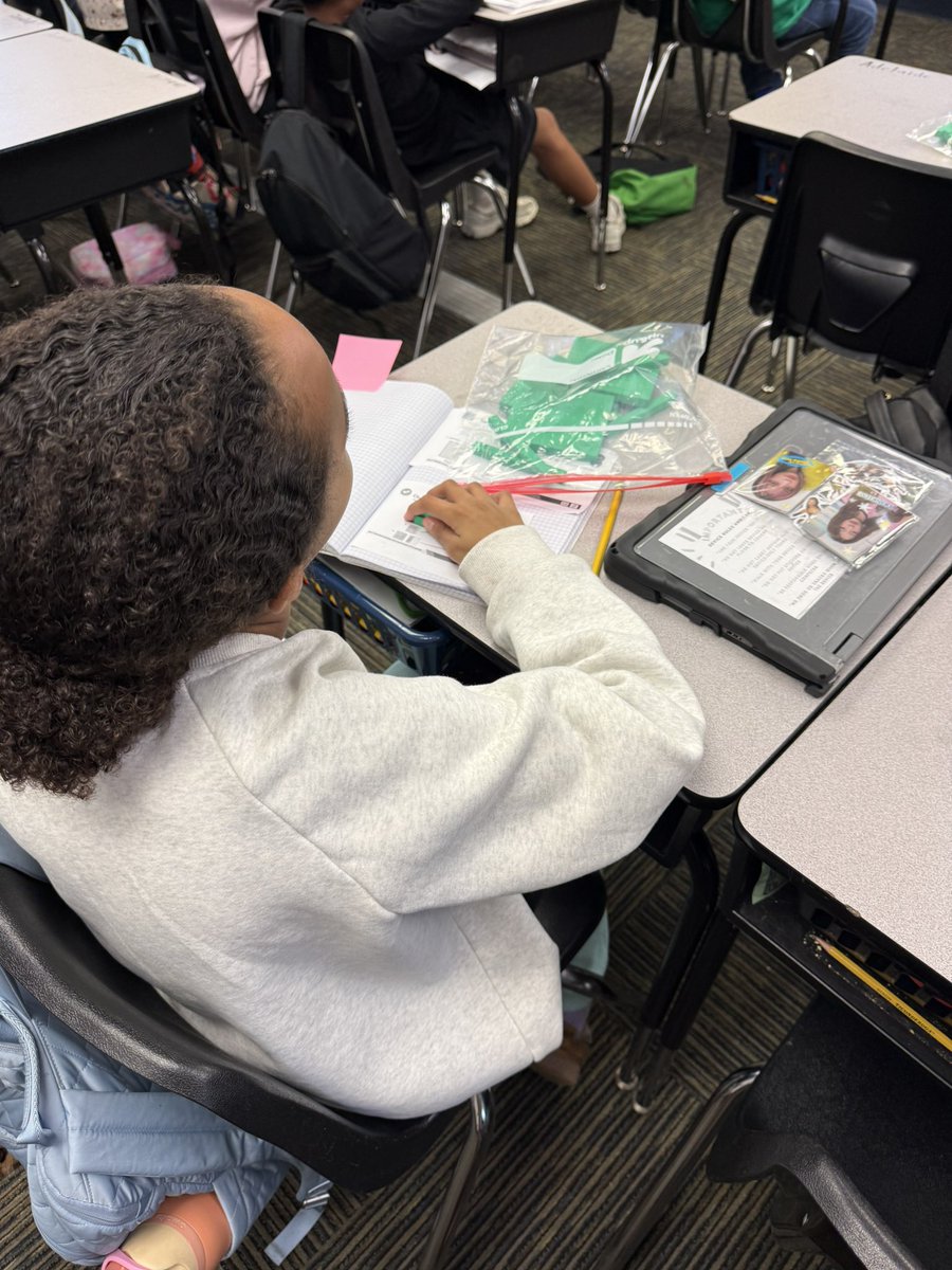 Sun Blaze Elementary School tweet media