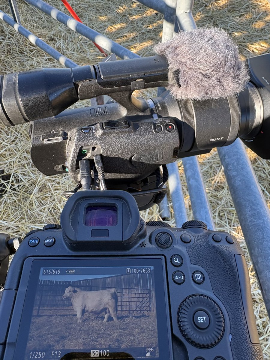 Robbie Chomik 🇨🇦 tweet media