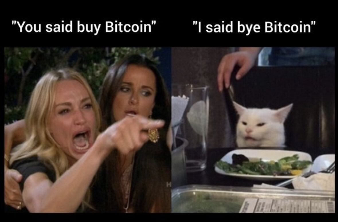 Splendores tweet media