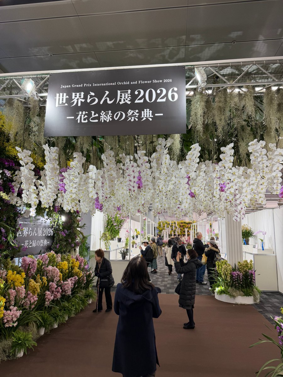 【公式】世界らん展-花と緑の祭典- tweet media
