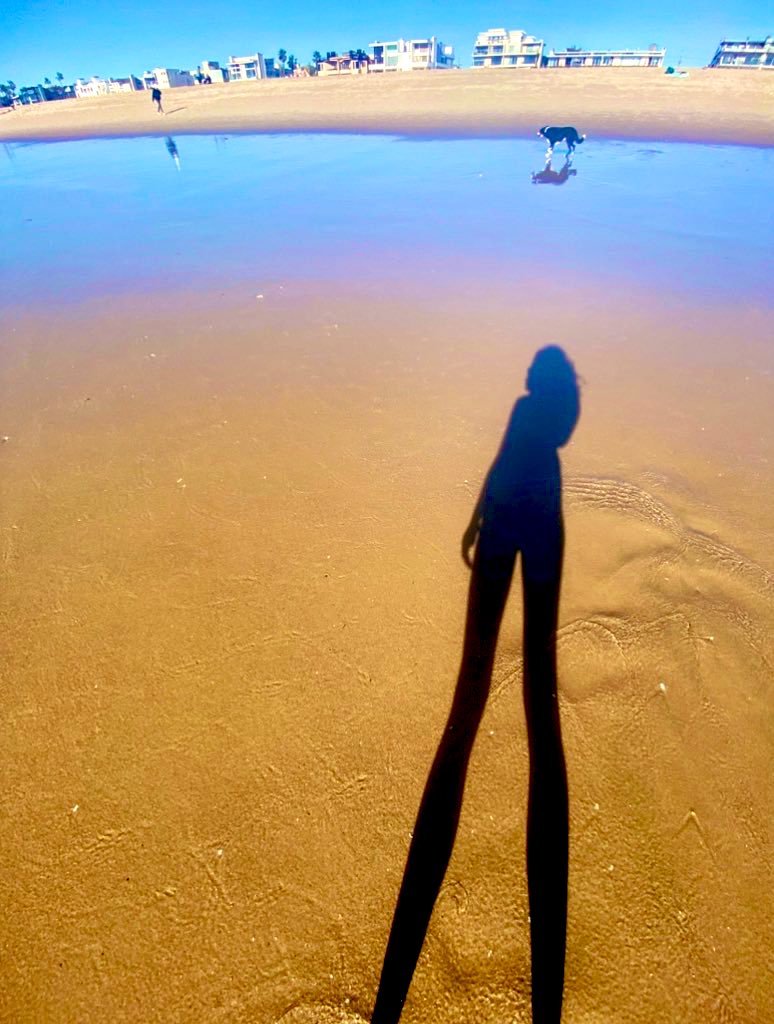 Natrix ֎ tweet media