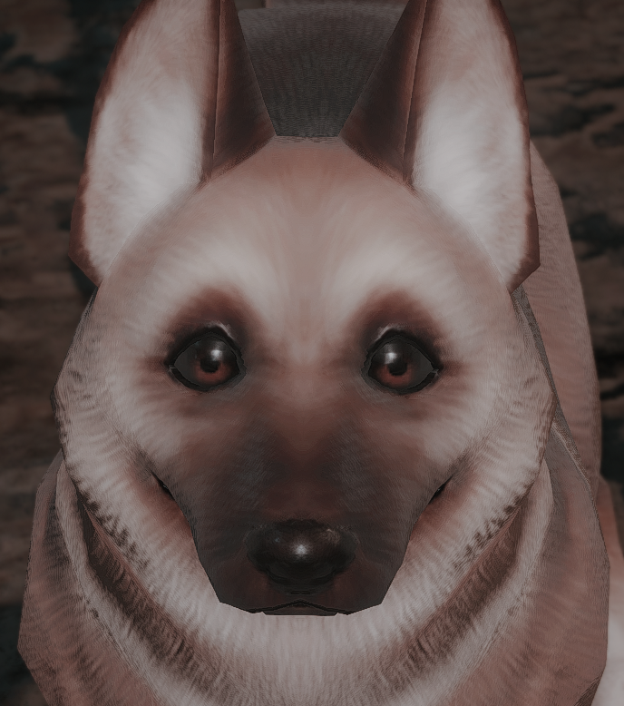 올리려고보니까아침이라서좀그런가싶기도하고그냥강아지랑같이올림