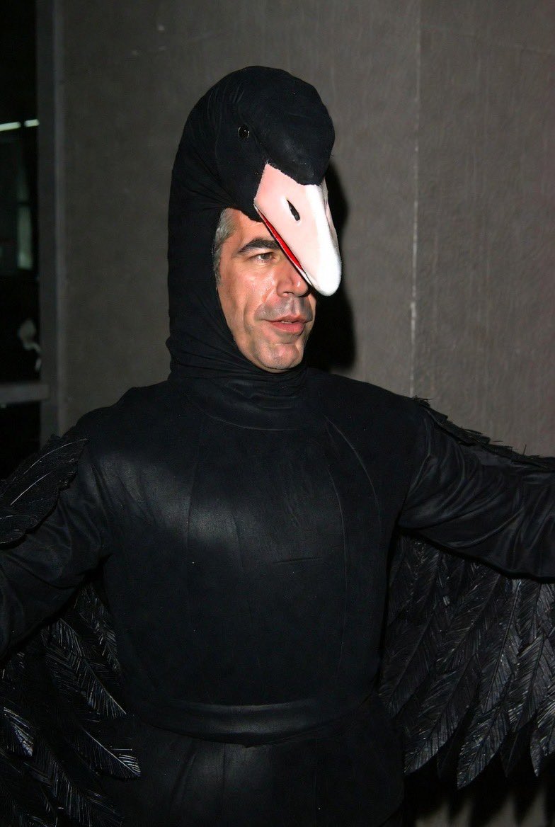 deflacja's tweet photo. We saw the future.. Bitcoin is going to 29k is coming months 

Black swan will wipe out entire  market, brace Yourself 

$btc $eth #market https://t.co/iNJsbFx1ZF