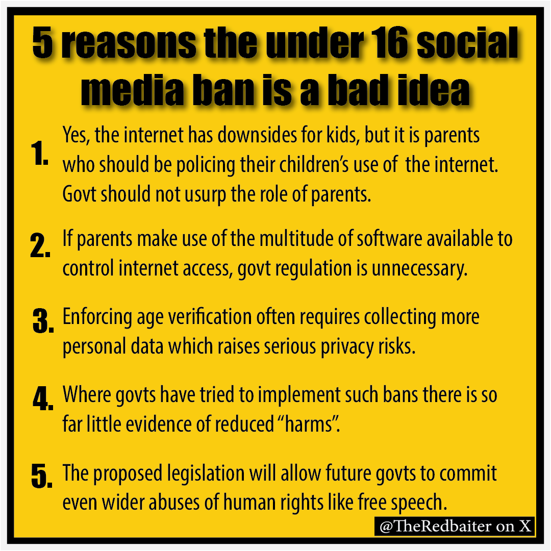 Proponents of the under 16 ban argue that because the internet has a ...