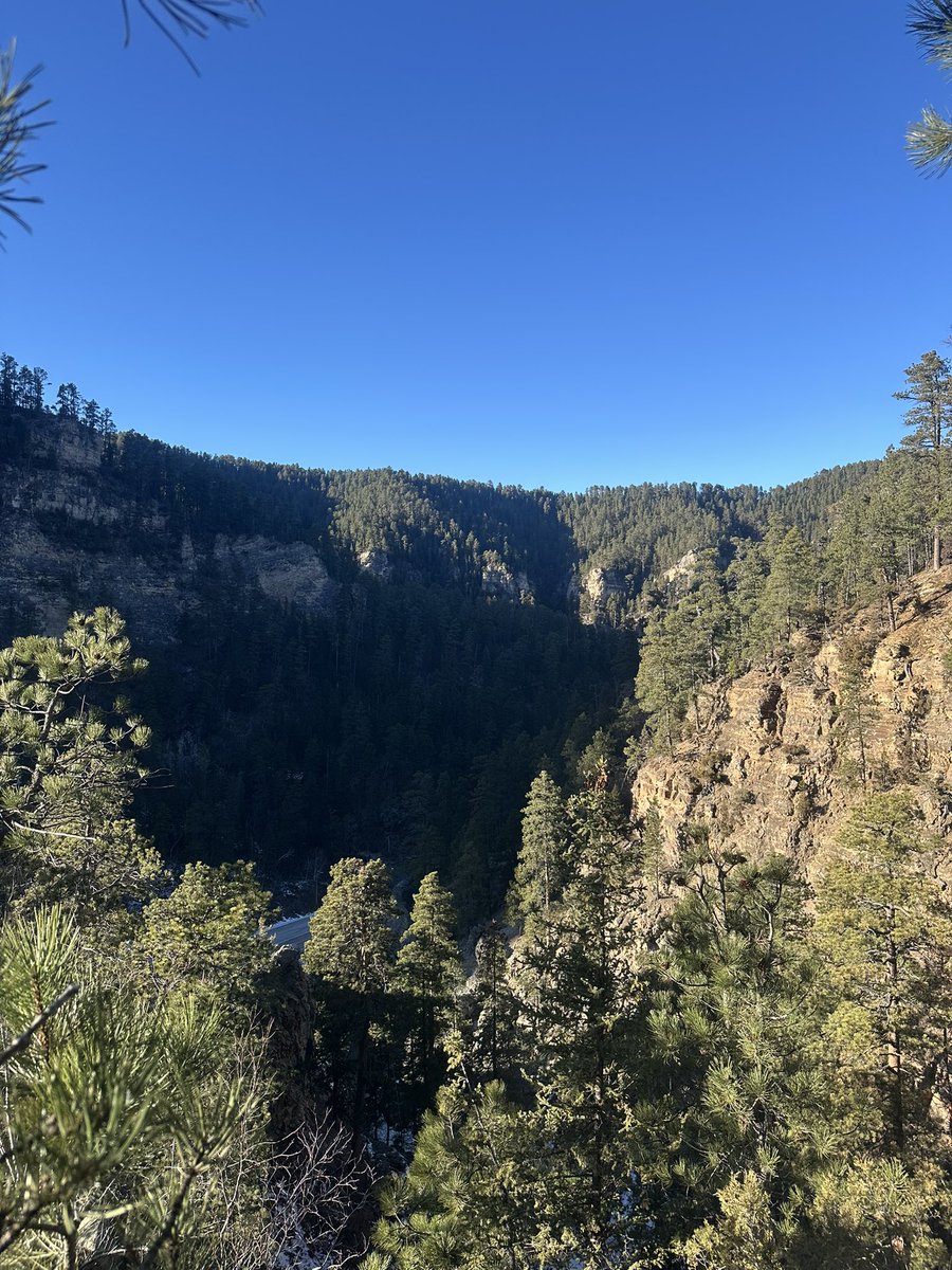 Kaiden Box tweet media