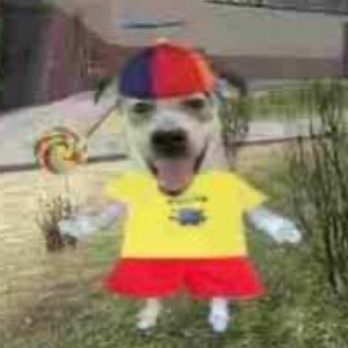 vantespace's tweet image. pós-graduação de letras é alfabeto?