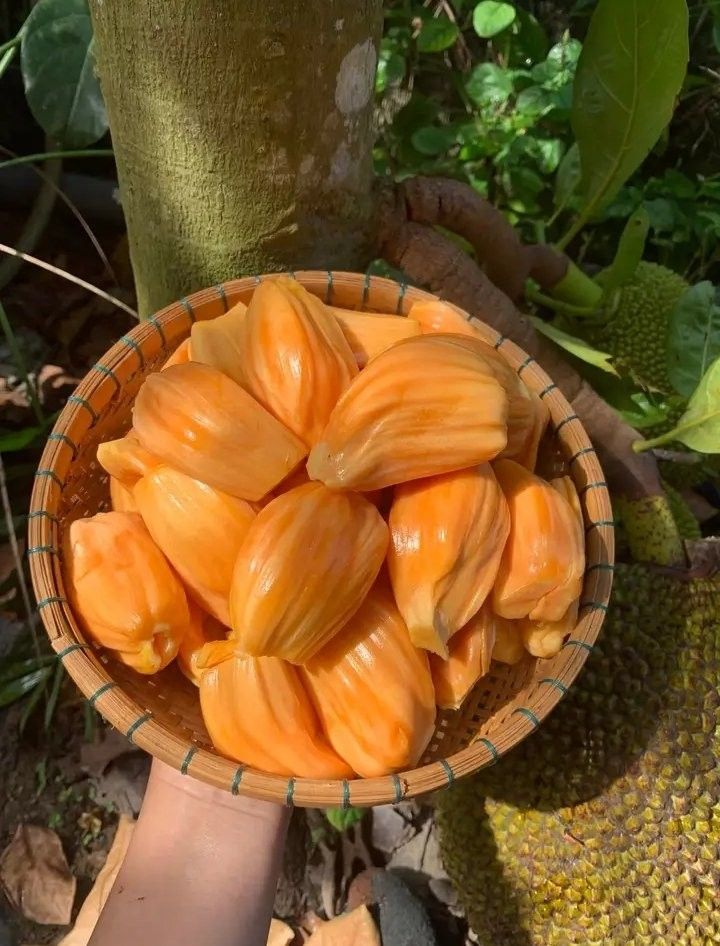 Sweet Aesthetic 🍒 tweet media