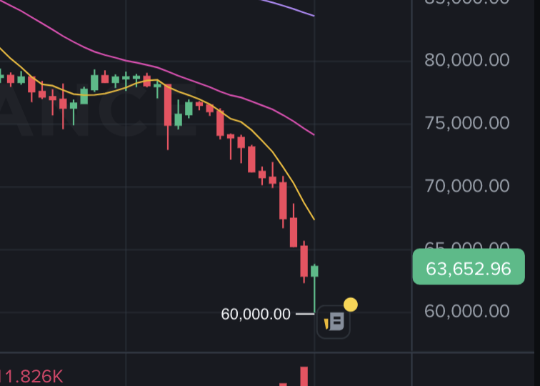 Setaoshi tweet media