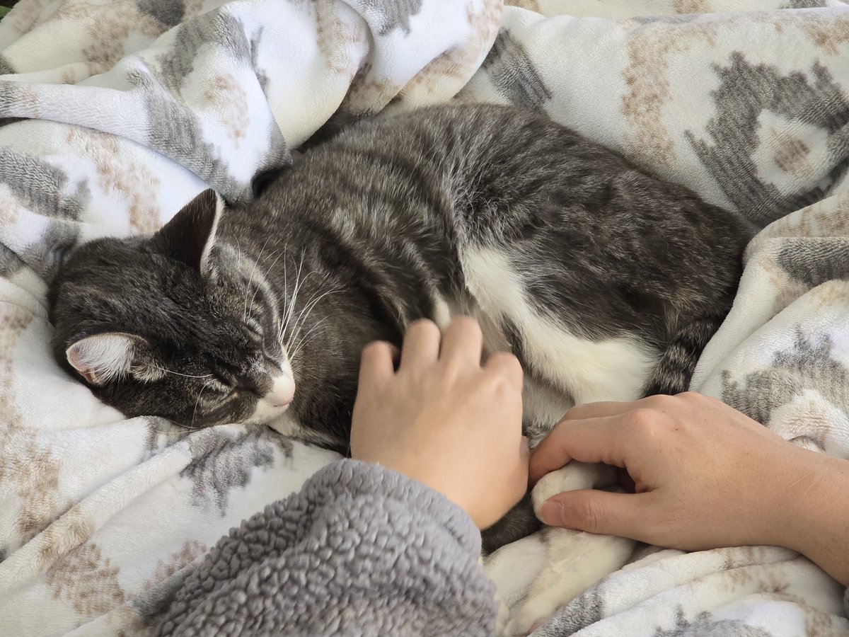 Arley Sorg tweet media