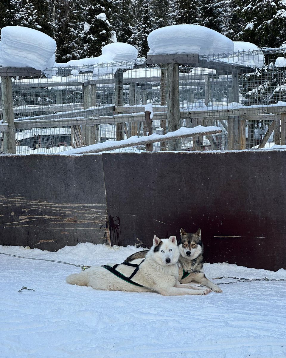 Calla258's tweet image. No plans, no pressure, just letting the moment be what it is.