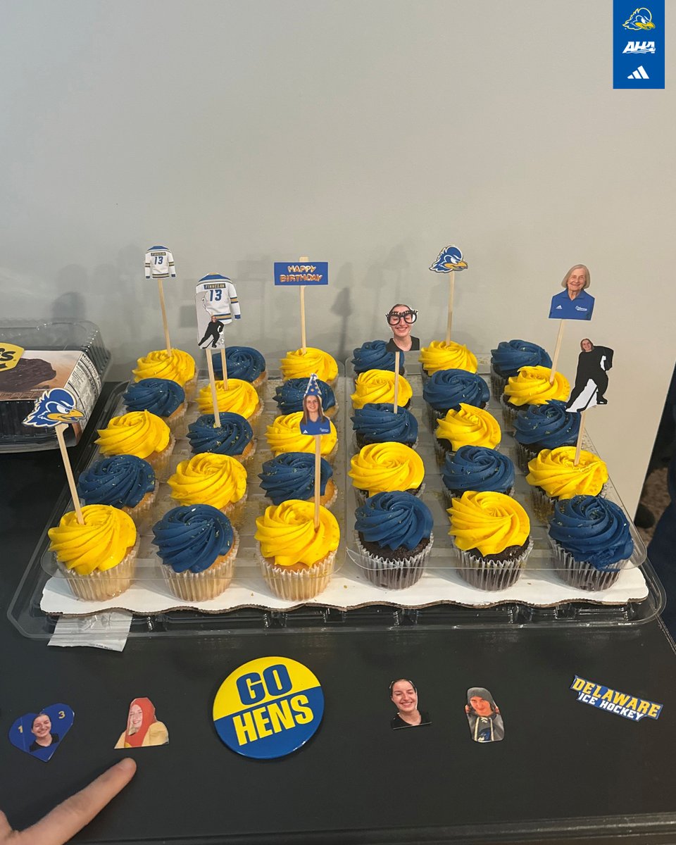 Delaware Ice Hockey tweet media