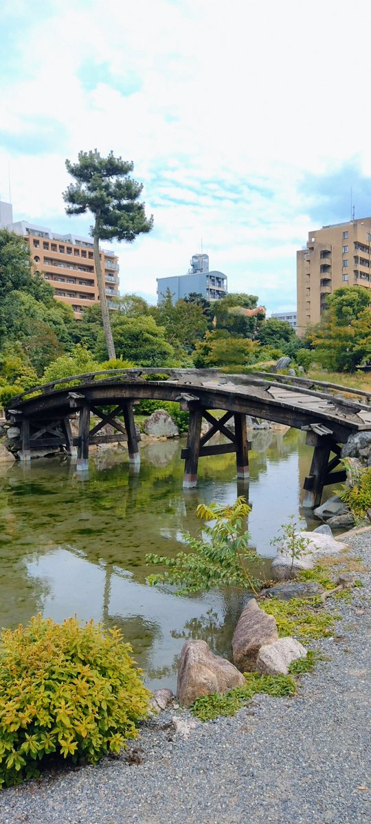 ORIONBLUE5's tweet image. 