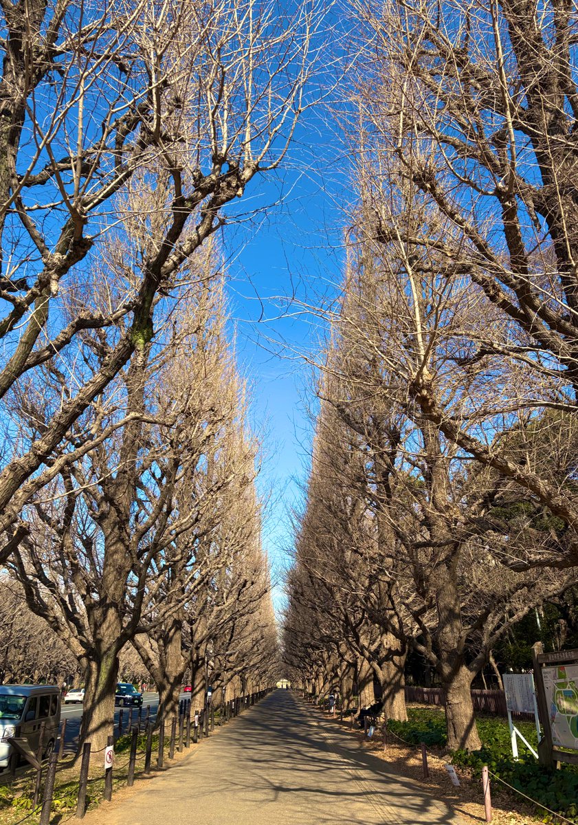 鳥越啓介 KEISUKE TORIGOE tweet media