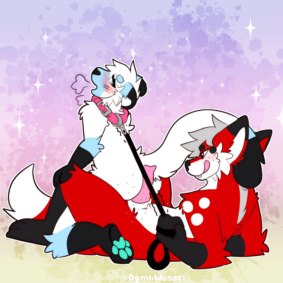 Spicy Weasel tweet media