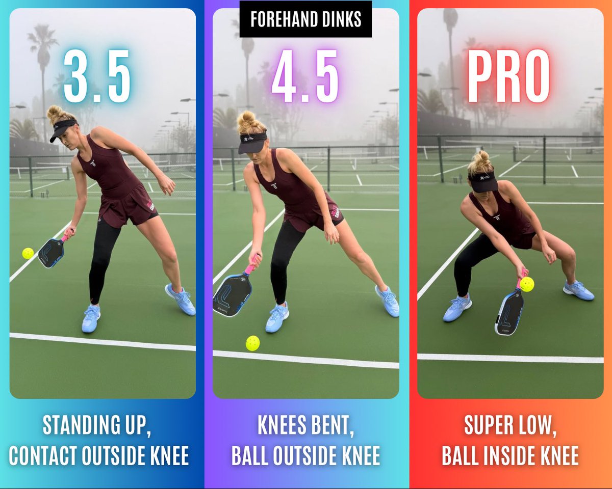 Jillian Braverman tweet media