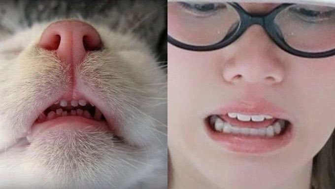 ฮืออ เหมือนเลยย